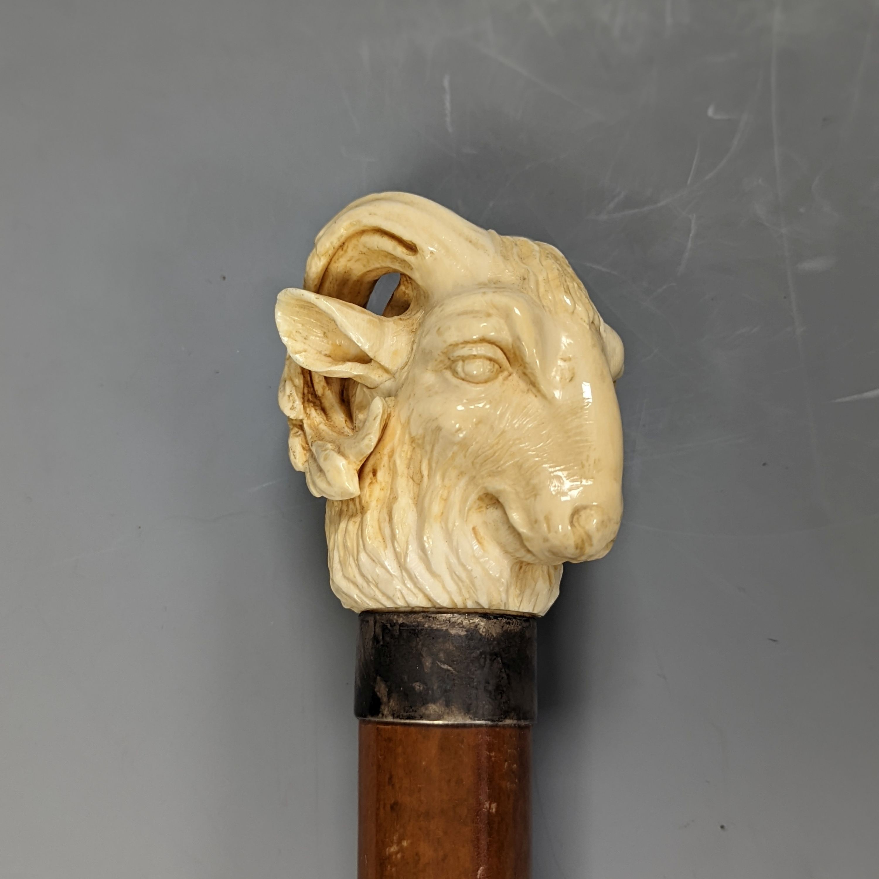 A late 19th century carved ivory ‘ram's head’ handled walking cane 89cm